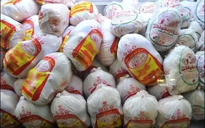 کشف بزرگترین احتکار مرغ کشور در شیراز