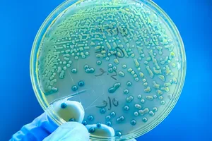 دنیاگیری خاموش در کودکان دنیا به‌سرعت رو به افزایش است
